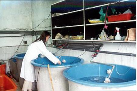 2000 (7).jpg - 實驗室-馴養 [Laboratory]-7