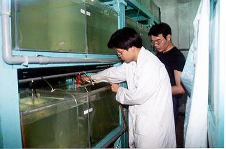 2000 (8).jpg - 實驗室-投餌 [Laboratory]-8