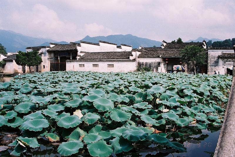 F1070003.JPG.JPG - Sep 14-21, 2002 安徽黃山 (2002年魚類學會青年學者學術研討會) (歙縣, 黟縣, 宏村, 西遞, 棠越牌坊, 屯溪, 翡翠谷)-2
