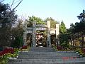 DSC04211