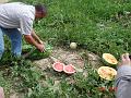 DSC00517