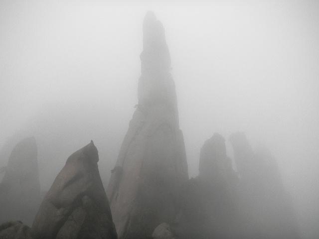 江西2010.6 438.jpg - June 5-13, 2010 武漢中科院水生所演講後江西行 (三清山) [Trip to Mountain Sanqingshan, Jiangxi, China]-5