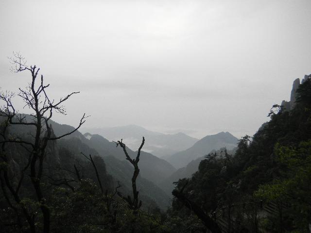 江西2010.6 450.jpg - June 5-13, 2010 武漢中科院水生所演講後江西行 (三清山) [Trip to Mountain Sanqingshan, Jiangxi, China]-10