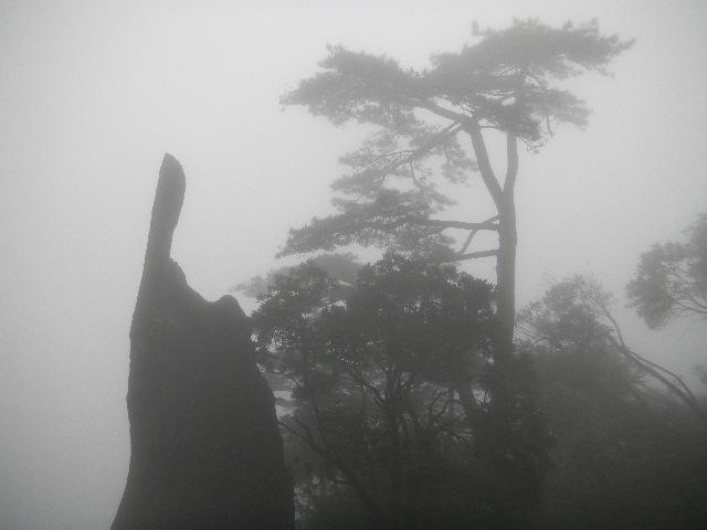 江西2010.6 544.jpg - June 5-13, 2010 武漢中科院水生所演講後江西行 (三清山)(一指神功) [Trip to Mountain Sanqingshan, Jiangxi, China]-23