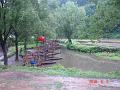 DSC00019