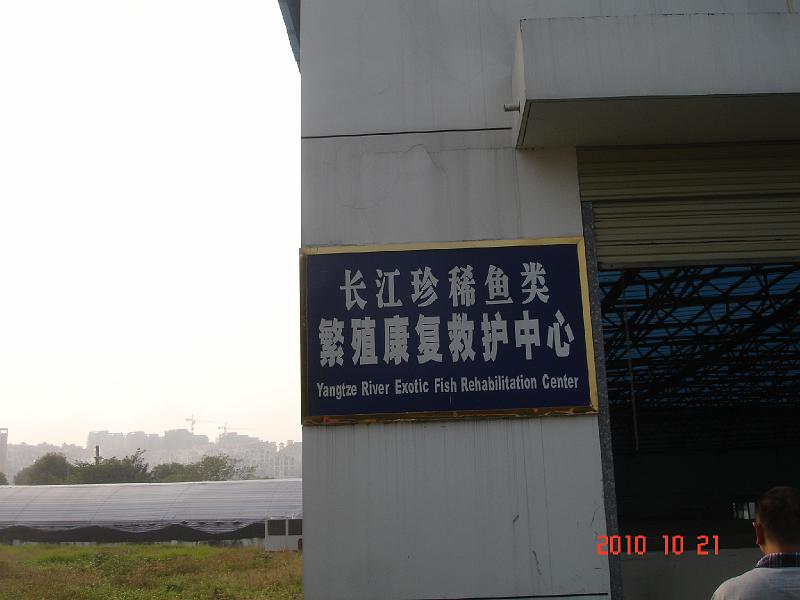 DSC00659.JPG - Oct 19-24, 2010 水利部中科院水工程生態研究所(中國大陸，武漢) [Institute of Hydroecology, Minstry of Water Resources and Chinese Academy of Sciences (Wuhan, China)]-3