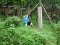 DSC01691