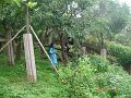 DSC01696