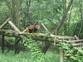 DSC01719