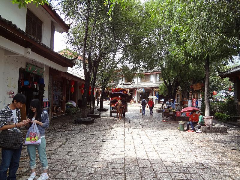 DSC01992.JPG - July 31-Aug 7, 2012 廣東農科院畜牧所演講後雲南行(麗江) [Trip to Lijiang city, Yunnan, China]-2
