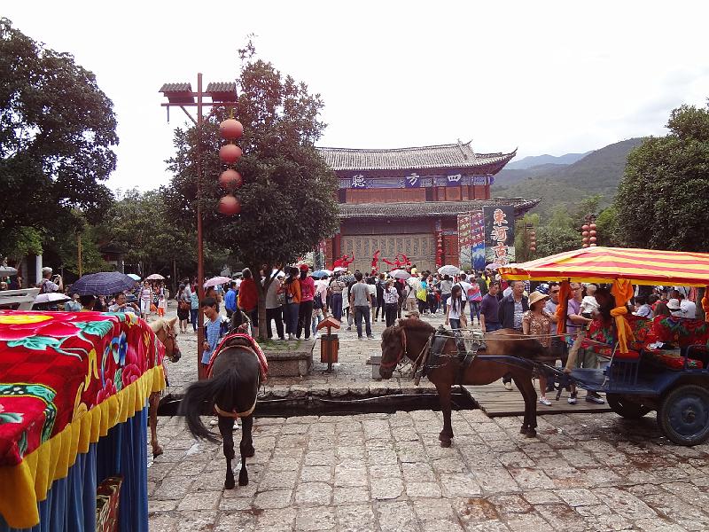 DSC01996.JPG - July 31-Aug 7, 2012 廣東農科院畜牧所演講後雲南行(麗江) [Trip to Lijiang city, Yunnan, China]-3