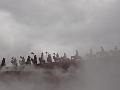 DSC01831