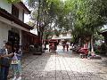DSC01992