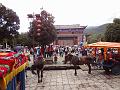 DSC01996