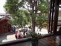 DSC02105