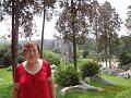 DSC02175