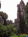DSC02192