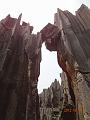 DSC02196