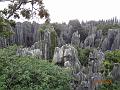 DSC02201