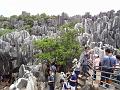 DSC02203