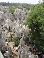 DSC02205