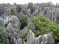 DSC02209