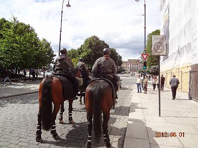 DSC00828.JPG - May 31-June 9, 2012 挪威 Oslo-13