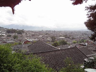 DSC01662.JPG - July 31-Aug 7, 2012 廣東農科院畜牧所演講後雲南行(麗江)-5