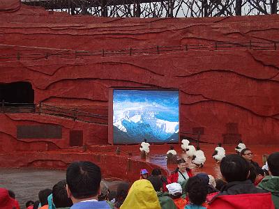 DSC01673.JPG - July 31-Aug 7, 2012 廣東農科院畜牧所演講後雲南行(印象麗江)-1