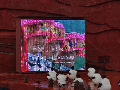 DSC01696.JPG - July 31-Aug 7, 2012 廣東農科院畜牧所演講後雲南行(印象麗江)-4