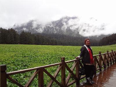 DSC01981.JPG - July 31-Aug 7, 2012 廣東農科院畜牧所演講後雲南行(麗江-玉龍雪山)-5