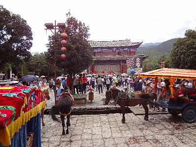 DSC01996.JPG - July 31-Aug 7, 2012 廣東農科院畜牧所演講後雲南行(麗江)-3