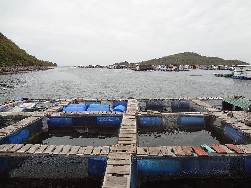 DSC00070.JPG - Aug 2-6, 2013 昇龍蝦苗場開幕典禮 (芽莊，越南) [Sheng Long Biotech Shrimp farm opening (Vietnam)]-37
