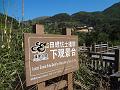 DSC02353