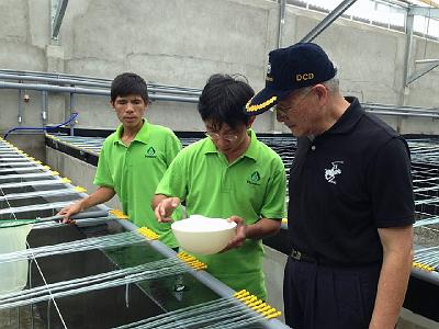 1151080_229000587254209_909908945_n.jpg - Aug 2-6, 2013 昇龍蝦苗場開幕典禮 (寧順，越南)-17