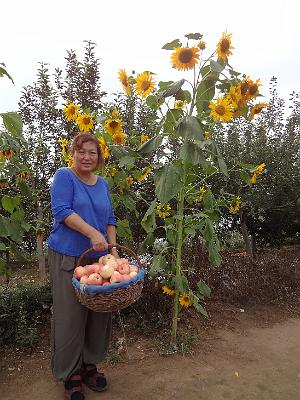 DSC00857.JPG - Aug 23-30, 2013 廣州海因特公司(海大集團)邀請參訪旅遊-陜西，西安 (蘋果園)-2