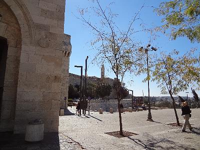 DSC01125.JPG - Oct 5-13, 2013 第十屆國際吳郭魚養殖學術研討會(ISTA10)-以色列，耶路撒冷(舊城)-12