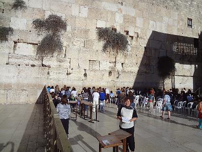 DSC01292.JPG - Oct 5-13, 2013 第十屆國際吳郭魚養殖學術研討會(ISTA10)-以色列，耶路撒冷 (哭牆)-11