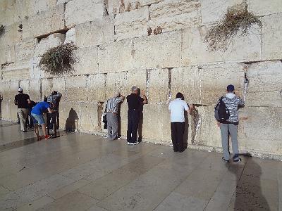 DSC01303.JPG - Oct 5-13, 2013 第十屆國際吳郭魚養殖學術研討會(ISTA10)-以色列，耶路撒冷 (哭牆)-14