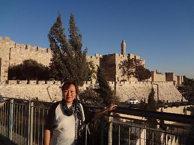 DSC01336.JPG - Oct 5-13, 2013 第十屆國際吳郭魚養殖學術研討會(ISTA10)-以色列，耶路撒冷 (舊城，大衛塔)-5