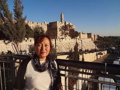 DSC01339.JPG - Oct 5-13, 2013 第十屆國際吳郭魚養殖學術研討會(ISTA10)-以色列，耶路撒冷 (舊城，大衛塔)-7