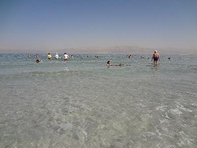 DSC01500.JPG - Oct 5-13, 2013 第十屆國際吳郭魚養殖學術研討會(ISTA10)-以色列，耶路撒冷 (死海)-2