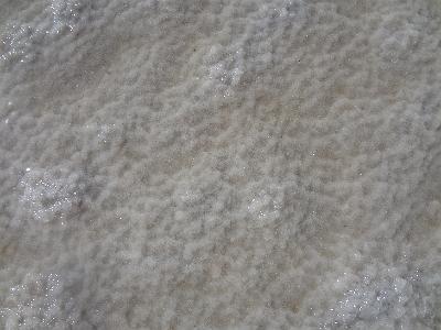 DSC01511.JPG - Oct 5-13, 2013 第十屆國際吳郭魚養殖學術研討會(ISTA10)-以色列，耶路撒冷 (死海)-9