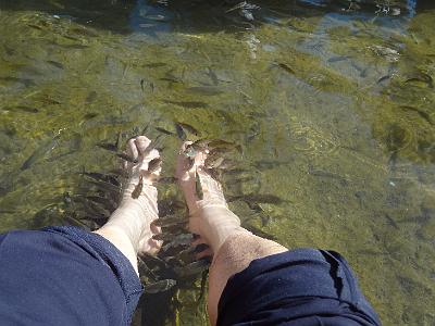 DSC01680.JPG - Oct 5-13, 2013 第十屆國際吳郭魚養殖學術研討會(ISTA10)-以色列，耶路撒冷(約旦河-耶穌接受約翰受洗處)-9