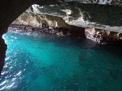 DSC01787.JPG - Oct 5-13, 2013 第十屆國際吳郭魚養殖學術研討會(ISTA10)-以色列，耶路撒冷(地中海之窗)-8