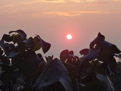 DSC02239.JPG - Nov 9-17, 2013 第九屆世界華人魚蝦營養學術研討會(9th SWCSNFFS) -中國大陸，廈門-29
