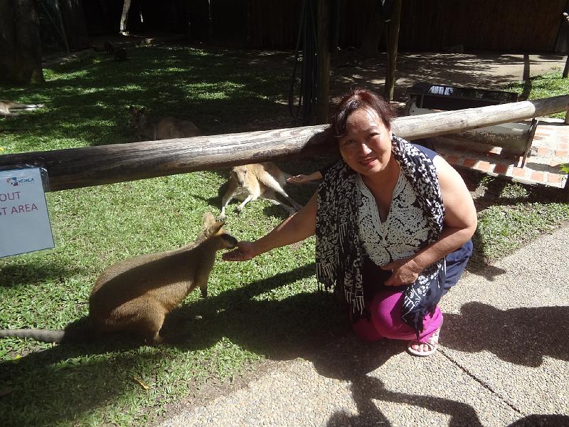 DSC02873.JPG - May 24-31, 2014 16屆國際魚類營養學術研討會(XVI ISFNF)(澳洲 Cairns) [XVI ISFNF (Australia, Cairns)]-190