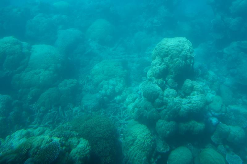 DSC06278.JPG - May 24-31, 2014 16屆國際魚類營養學術研討會(XVI ISFNF)(澳洲 Cairns) [XVI ISFNF (Australia, Cairns)]-126